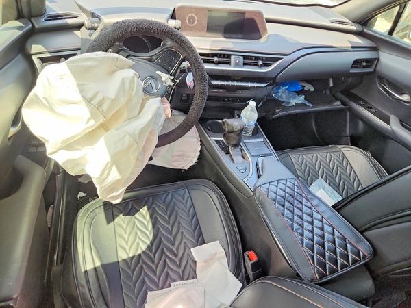 2019 LEXUS UX