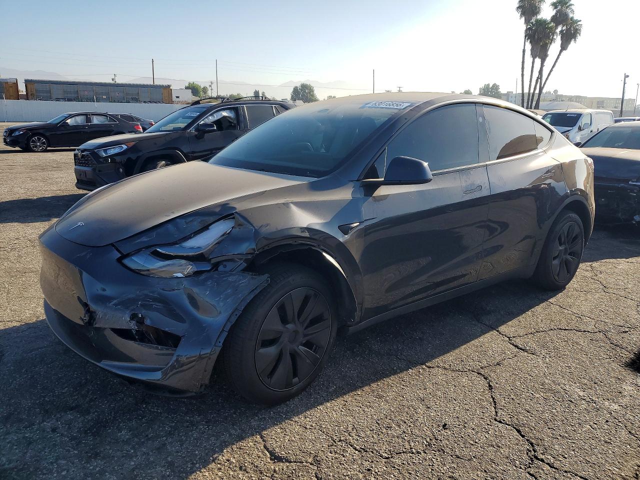 2025 TESLA MODEL Y