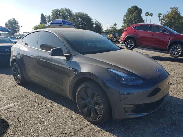 2025 TESLA MODEL Y
