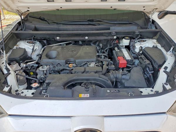 2019 TOYOTA RAV4 XLE / XLE Premium 4WD