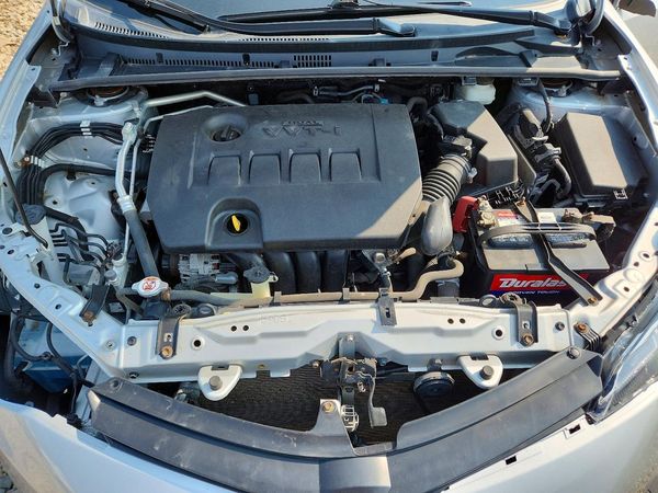 2019 TOYOTA COROLLA L/LE/SE/XLE/XSE
