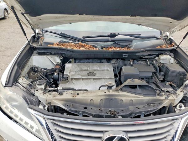 2013 LEXUS RX 350