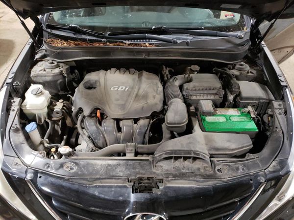 2013 HYUNDAI SONATA GLS/ GLS Popular