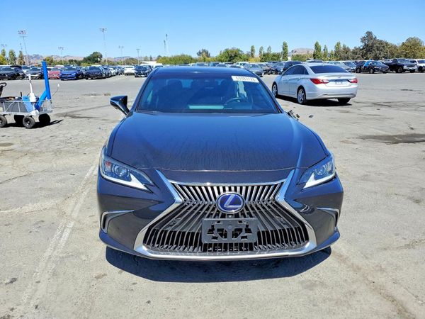 2019 LEXUS ES 300h