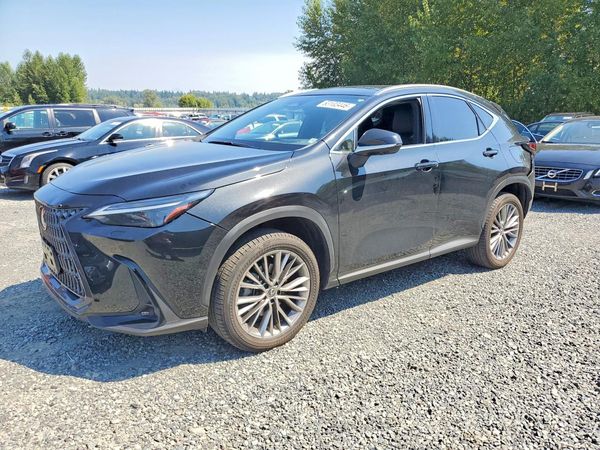 2022 LEXUS NX 350h Luxury