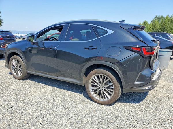 2022 LEXUS NX 350h Luxury