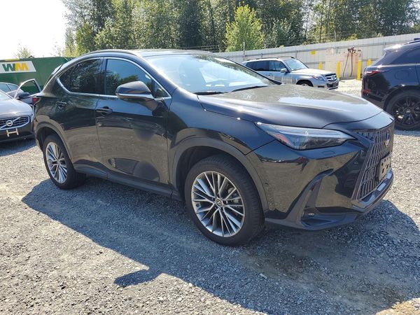 2022 LEXUS NX 350h Luxury