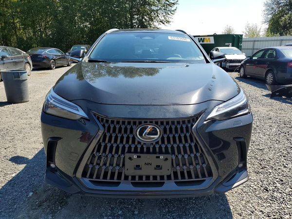 2022 LEXUS NX 350h Luxury