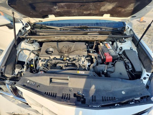 2019 TOYOTA CAMRY L/LE/SE/XLE — Engine bay