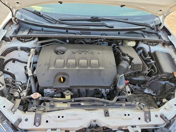 2019 TOYOTA COROLLA L/LE/SE/XLE/XSE