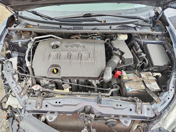 2019 TOYOTA COROLLA