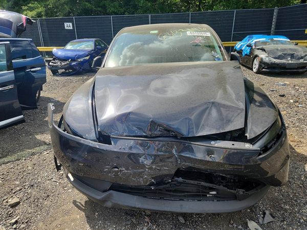 2026 TESLA MODEL Y — DIRF