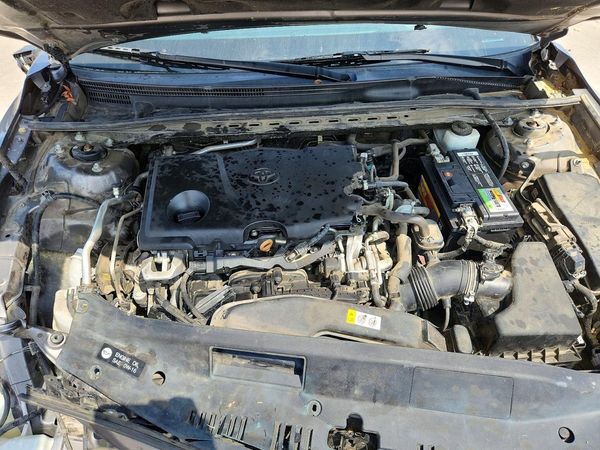 2019 TOYOTA CAMRY L/LE/SE/XLE