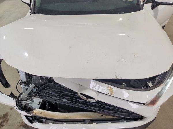2019 TOYOTA RAV 4 XLE / XLE Premium 4WD
