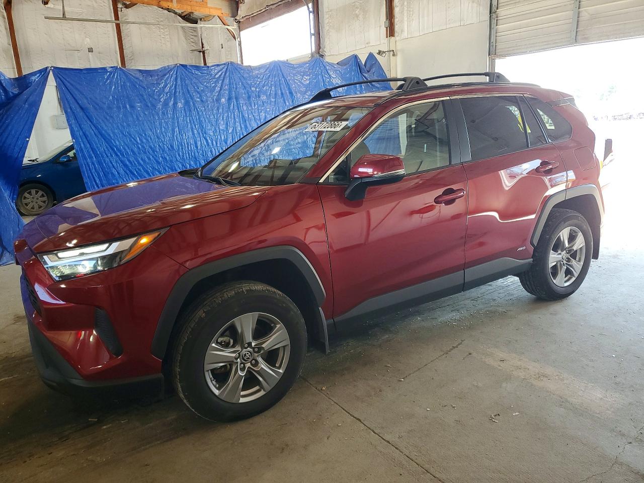 2024 TOYOTA RAV4 LE