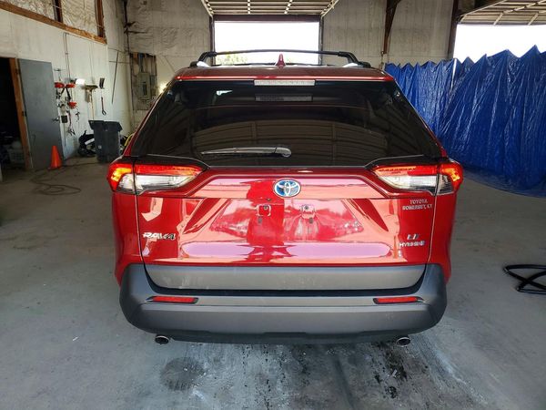 2024 TOYOTA RAV4 LE