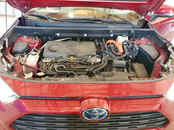 2024 TOYOTA RAV4 LE