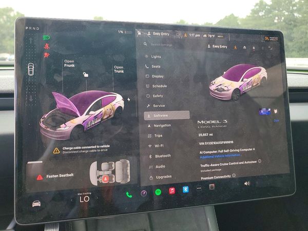 2025 TESLA MODEL 3
