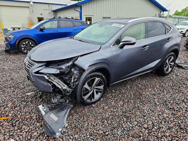 2019 LEXUS NX 300 300 Luxury