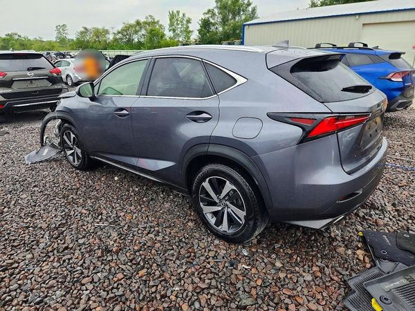 2019 LEXUS NX 300 300 Luxury