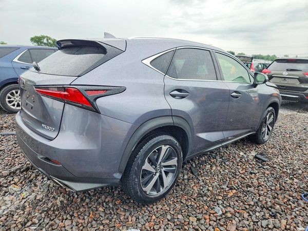 2019 LEXUS NX 300 300 Luxury
