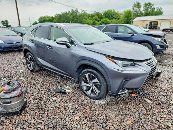 2019 LEXUS NX 300 300 Luxury