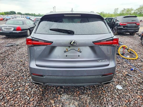 2019 LEXUS NX 300 300 Luxury