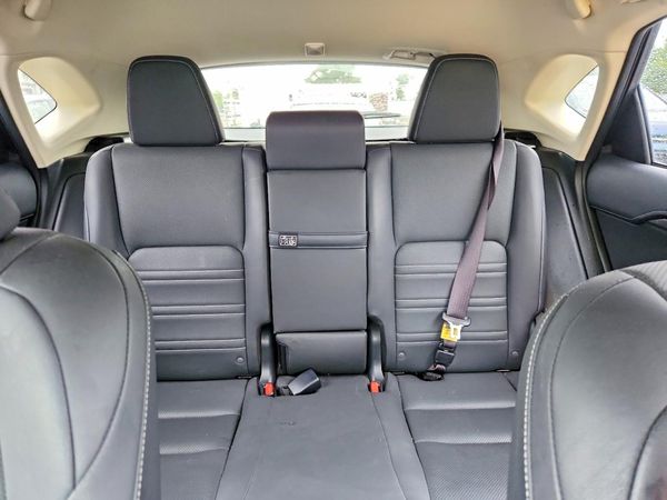 2019 LEXUS NX 300 300 Luxury