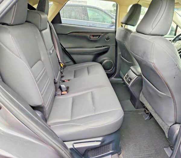 2019 LEXUS NX 300 300 Luxury