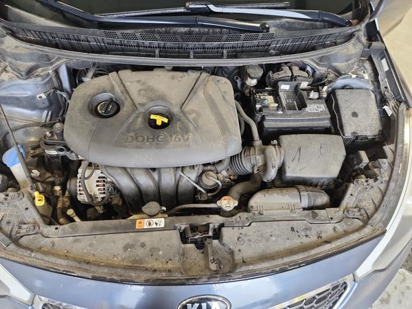 2016 KIA FORTE GL (Middle-Low Grade)