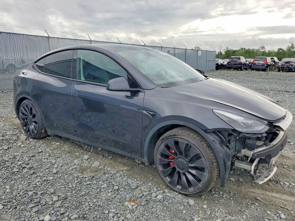 2024 TESLA MODEL Y