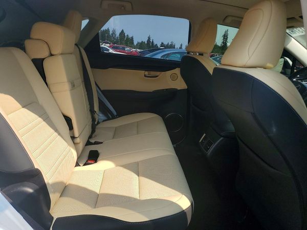 2020 LEXUS NX 300 Premium