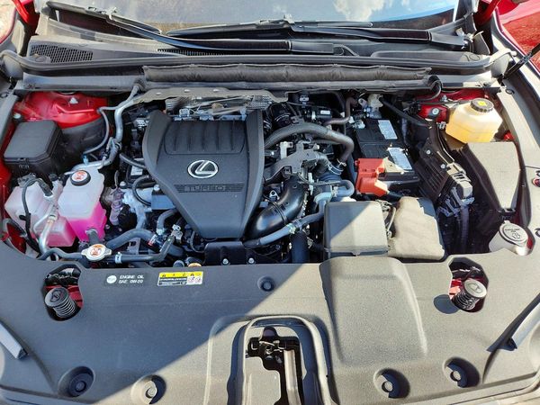 2025 LEXUS RX 350