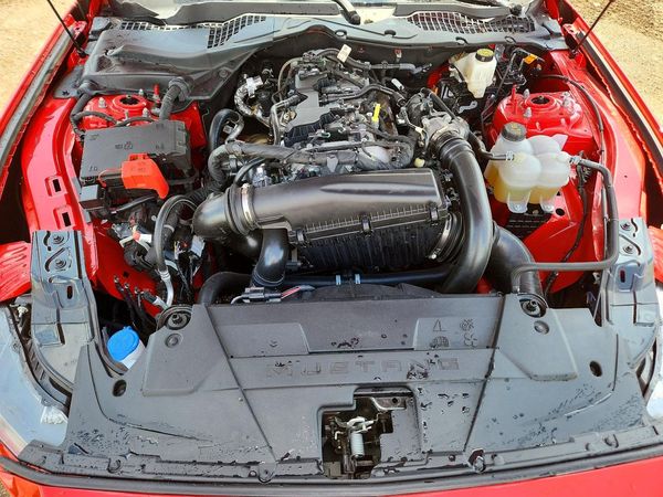 2026 FORD MUSTANG I4