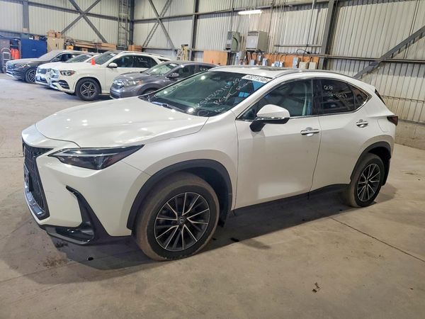 2025 LEXUS NX