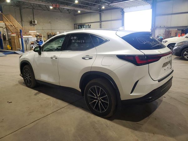 2025 LEXUS NX