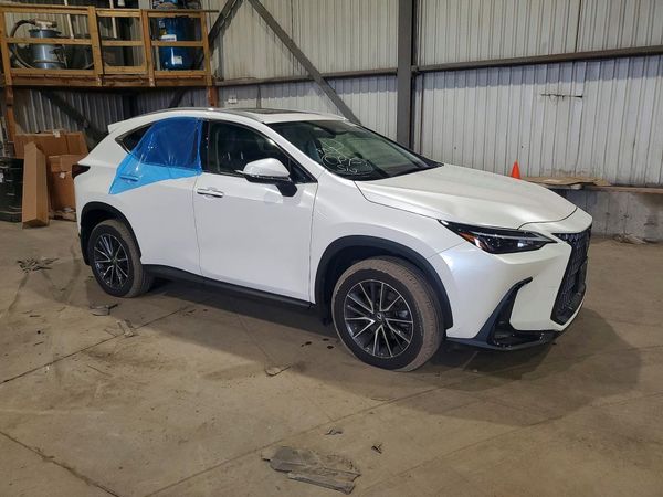 2025 LEXUS NX