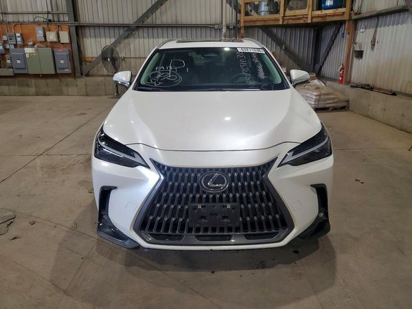 2025 LEXUS NX