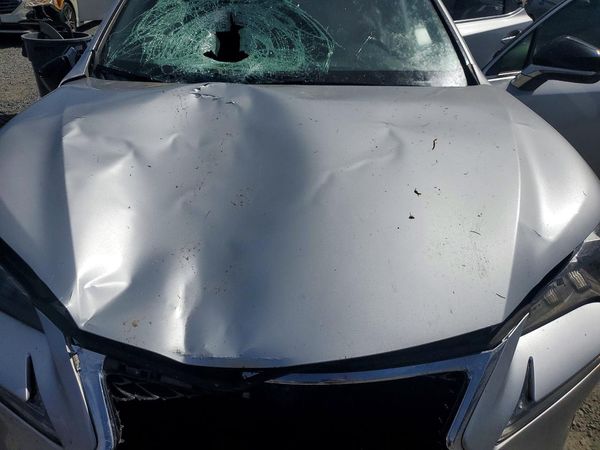 2015 LEXUS NX 200t Luxury