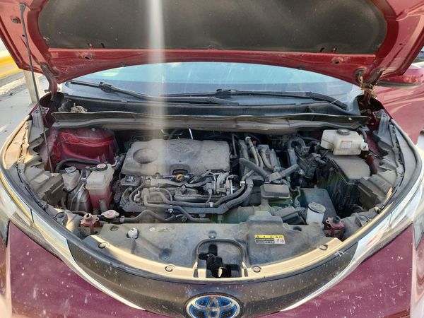 2021 TOYOTA SIENNA XLE