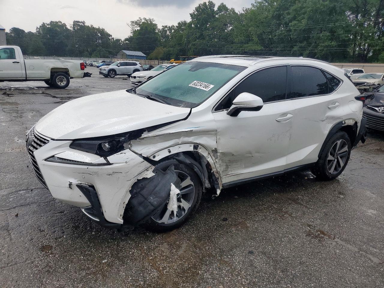 2019 LEXUS NX 300 300 Luxury