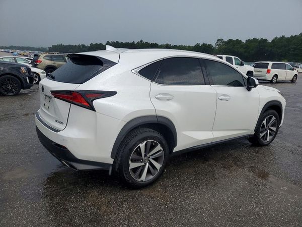 2019 LEXUS NX 300 300 Luxury