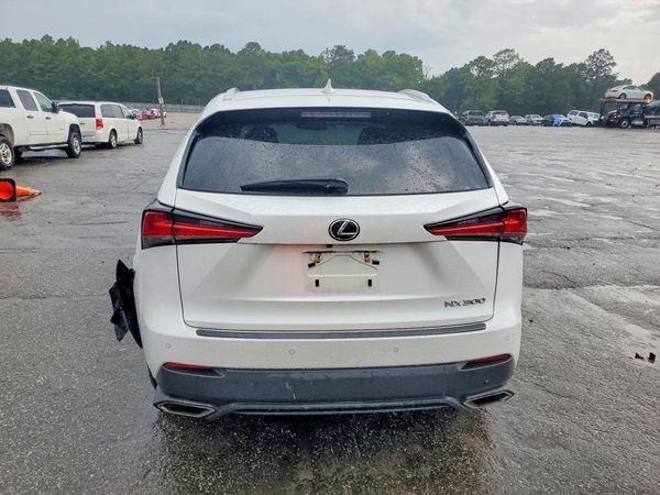 2019 LEXUS NX 300 300 Luxury