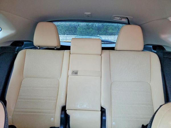 2019 LEXUS NX 300 300 Luxury
