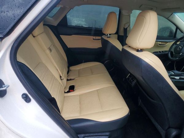 2019 LEXUS NX 300 300 Luxury