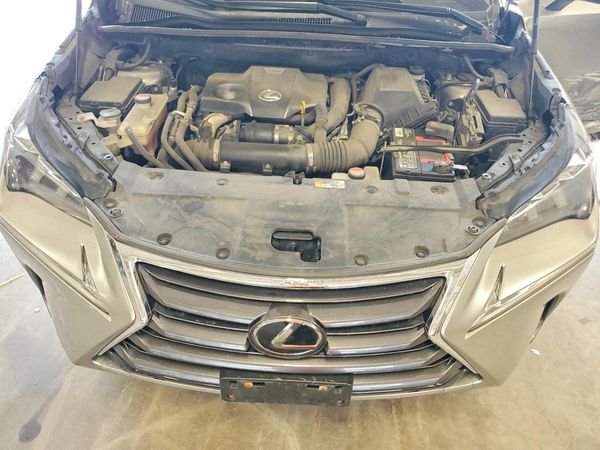 2015 LEXUS NX 200t Luxury