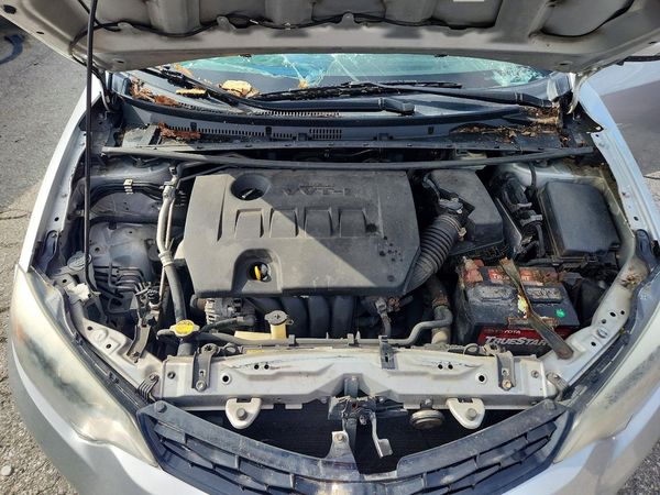 2015 TOYOTA COROLLA L/LE