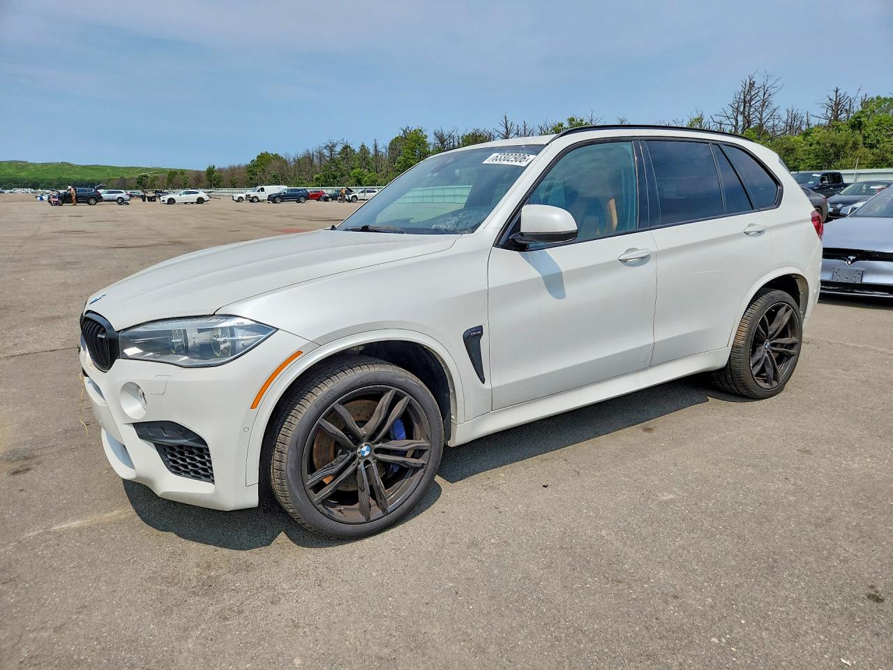 2015 BMW X5 X5 M