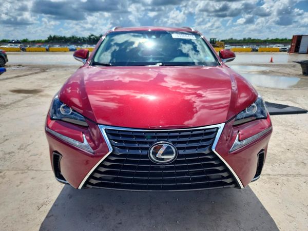 2019 LEXUS NX 300 300 Luxury