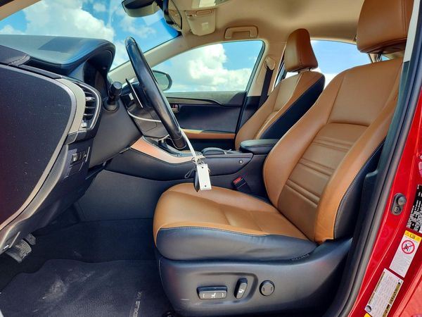 2019 LEXUS NX 300 300 Luxury